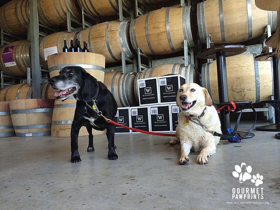 Doggy Winery Tours #pawfect