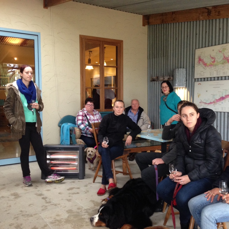 Yarra Valley Doggy Winery Tour #pawfect