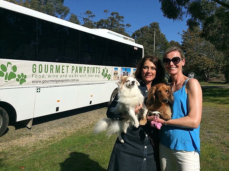 Melbourne Weekender Doggy Winery Tour #pawfect