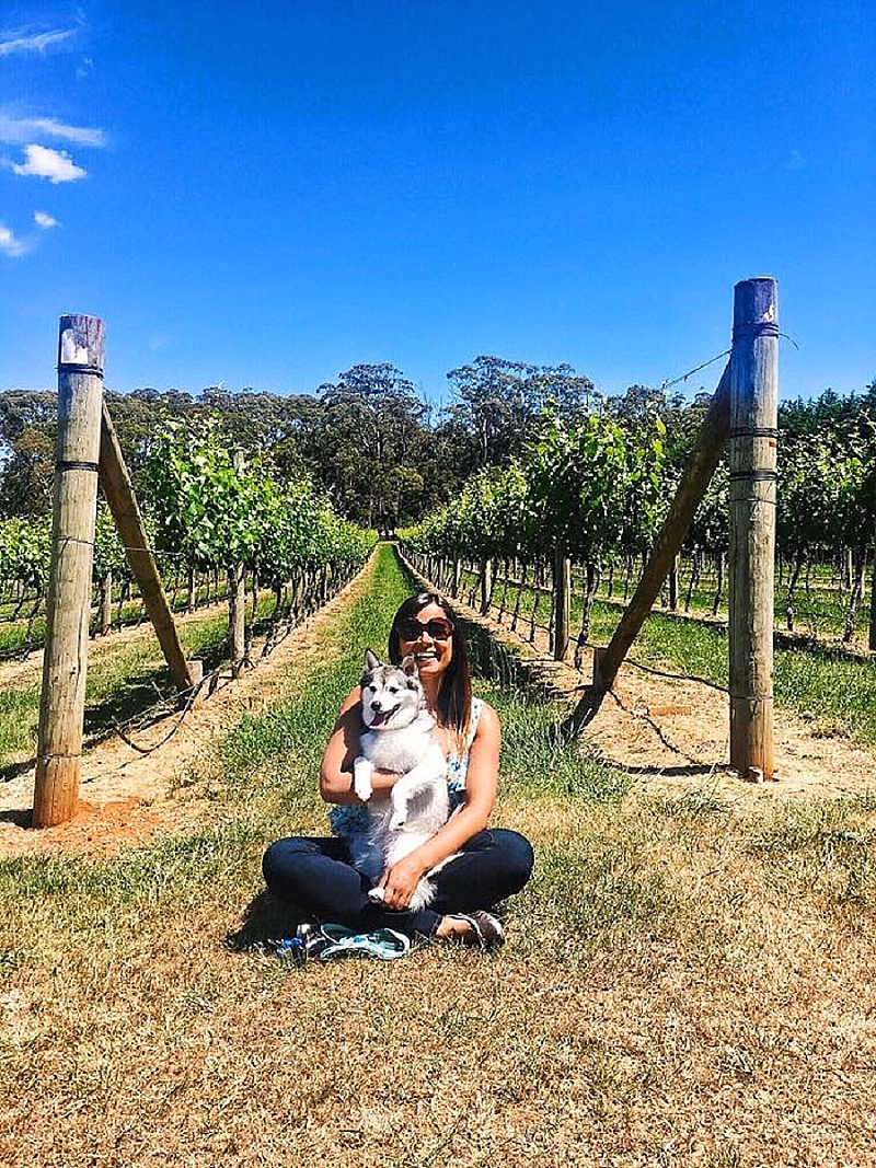 Doggy Winery Tours
