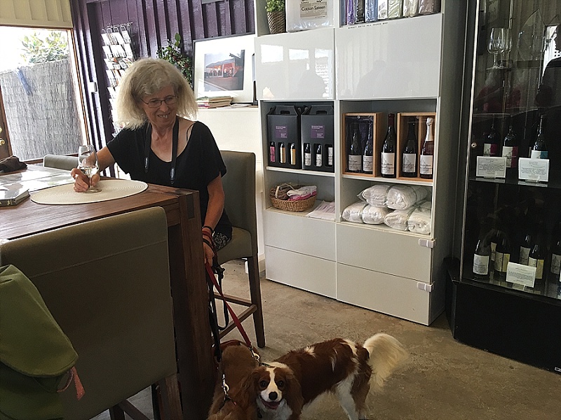 Doggy Winery Tour Dog Friendly Dandenong Ranges