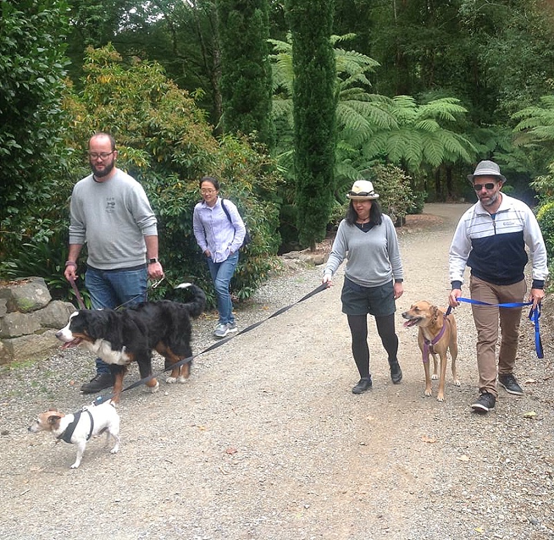 9 Apr 2016 Dandenong Ranges Doggy Winery Tour