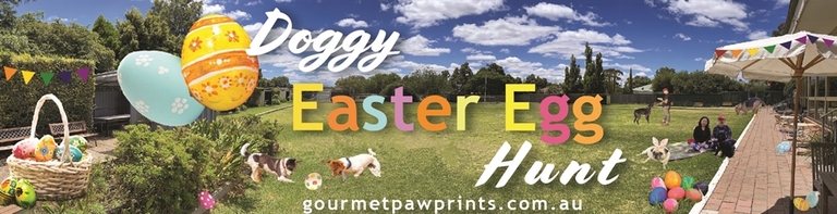 Doggy Easter Egg Hunt