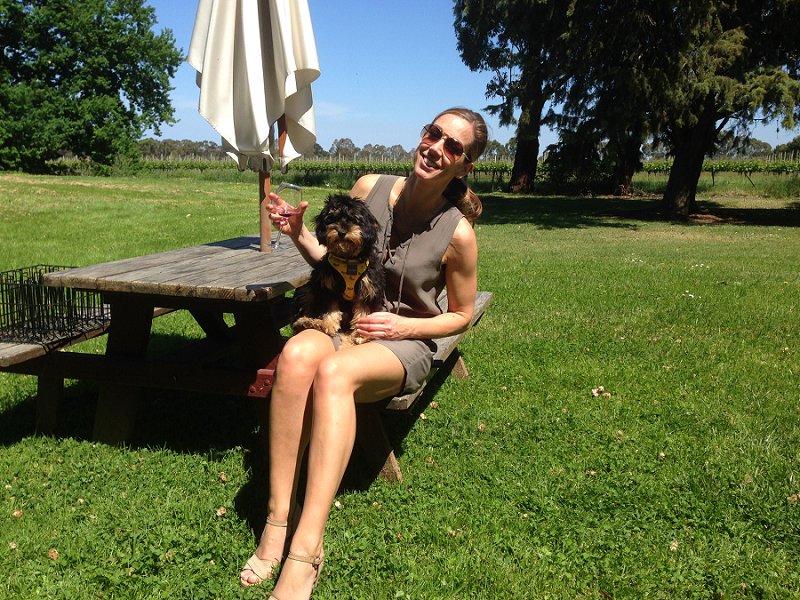 Yarra Valley Doggy Winery Tour Pawfect