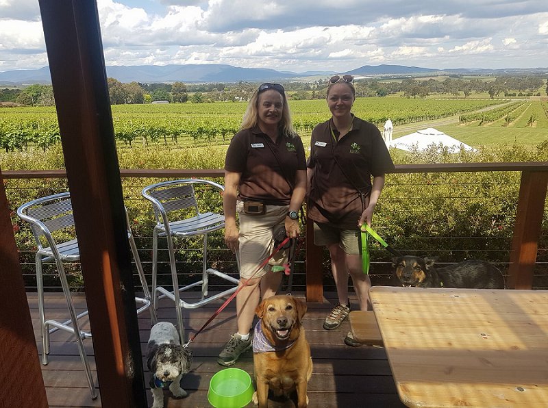 Melba Trail Yarra Valley Doggy WInery Tour