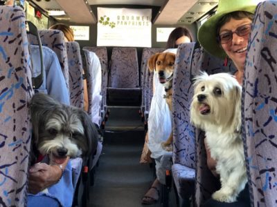 Melba Trail Doggy Winery Tour