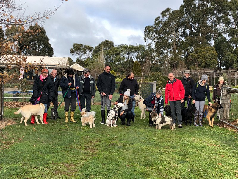 Truffle Hunt Pawfect Dog Friendly Experiences