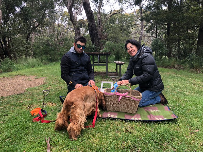 Doggy Picnic Adventures