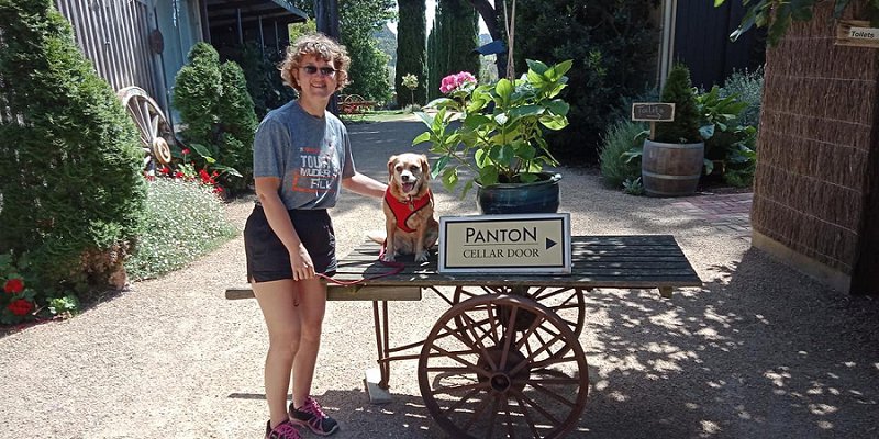 Mornington Doggy Winey Tour Dog Friendly Experiences