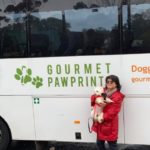 Out and about with dogs in Melbourne