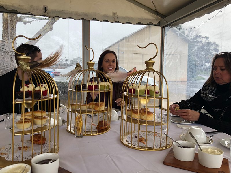 Bird Cage High Tea goodies