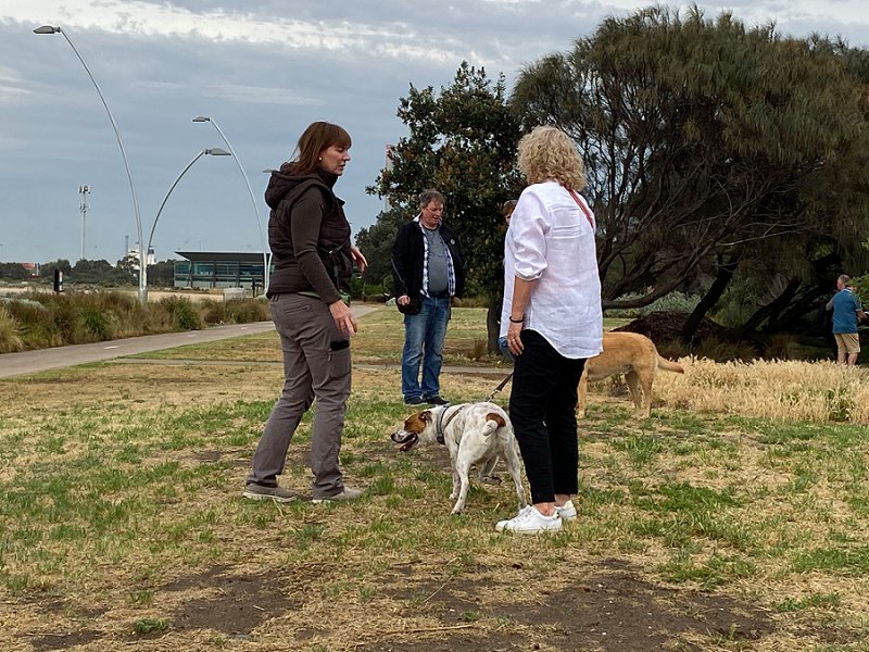 Yarra Trail Doggy Winery Tour