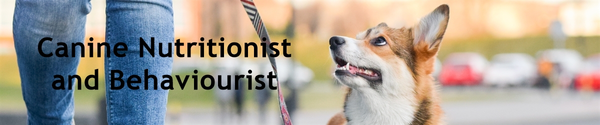 Canine Nutritionist and Behaviourist