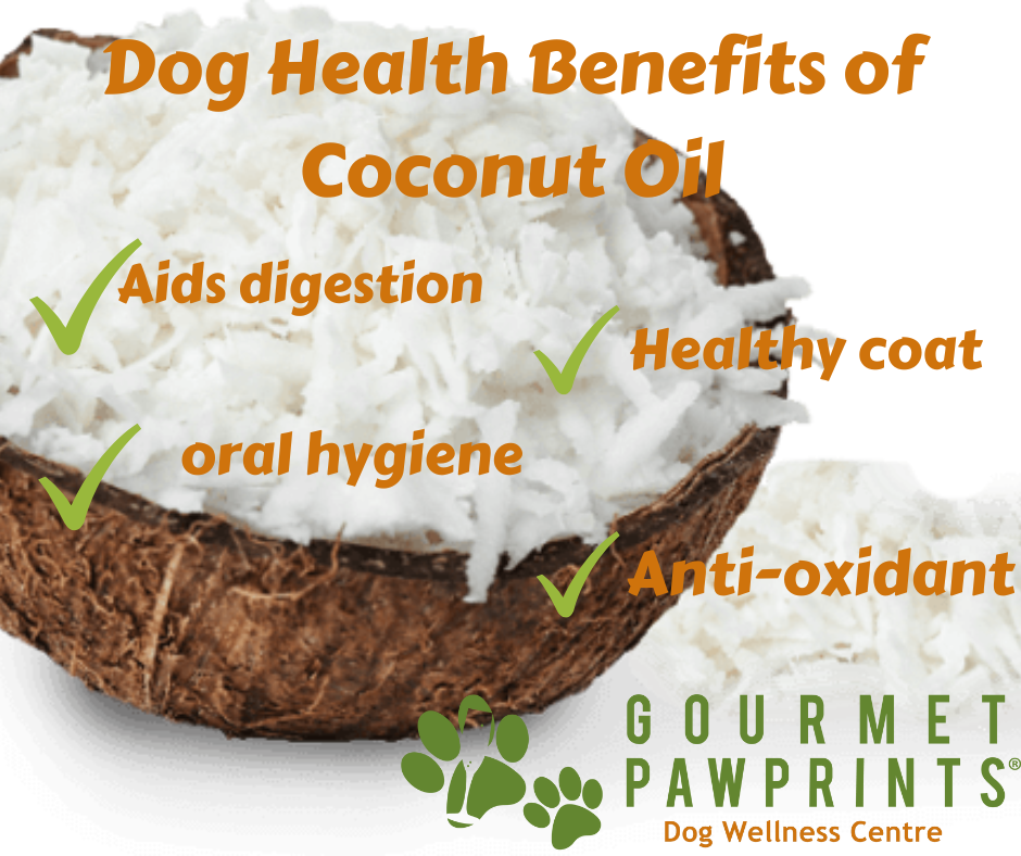 Dog Health Benefits of Coconut » Gourmet Pawprints