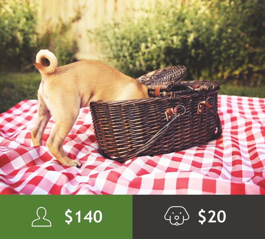 Dog picnic basket best sale